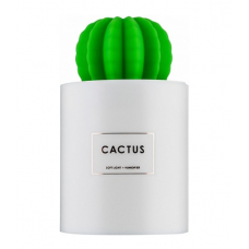 Компактный USB Увлажнитель воздуха GSMIN 306B Cactus Humidifier (Белый)